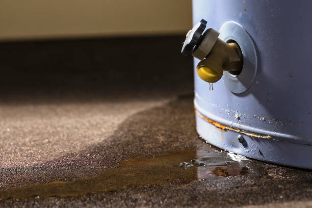 Best Mold removal after water damage  in Richmond, KY