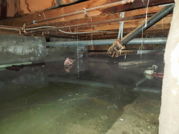 Best Water damage restoration near me  in Richmond, KY