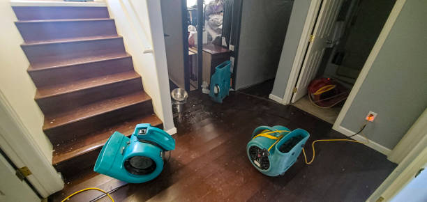 Best Professional water damage repair  in Richmond, KY