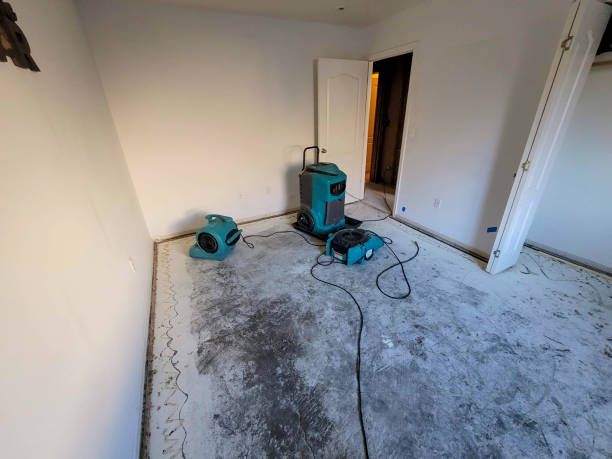 Best Water damage cleanup near me  in Richmond, KY