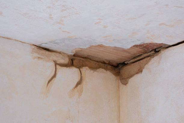 Best Local water damage restoration  in Richmond, KY