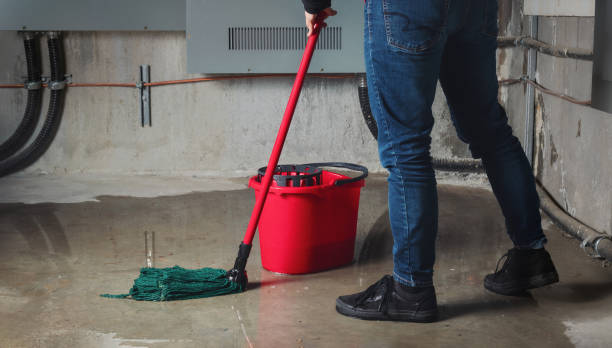 Best Emergency water damage restoration  in Richmond, KY