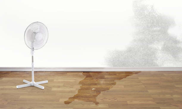  Richmond, KY Water damage restoration Pros