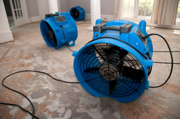Best Carpet water damage restoration  in Richmond, KY