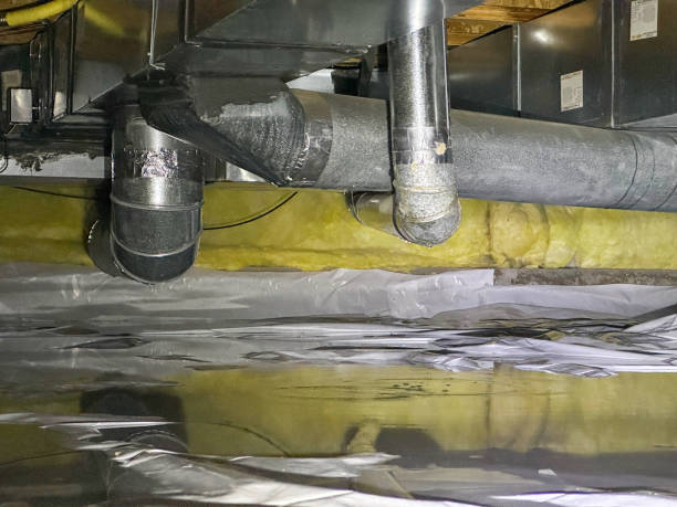 Best Flood damage cleanup  in Richmond, KY